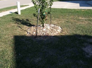 Alice C.'s Flower Bed Weeding service result