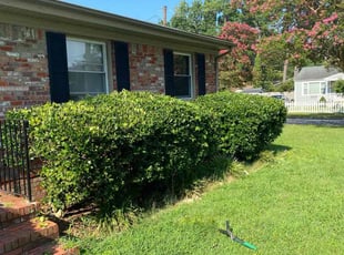 Bush Trimming by David Wilson for Kendall A. in Norfolk, VA