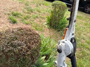 Bush Trimming by Steven Moreira for Leonard A. in Norfolk, VA
