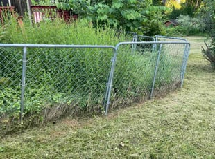 Rhonda P.'s Cleanups service result