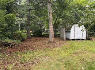 MiShawn B.'s Cleanups service result