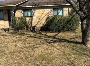 Bush Trimming by Octavius Croston for Glenda C. in Sherwood, AR