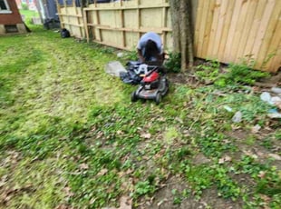 Cleanups by D'andre Antrion Covington for Shuyu H. in Cincinnati, OH