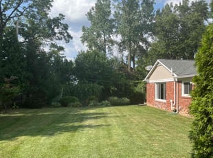 Jessica L.'s Lawn Service service result