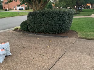 Bush Trimming by Mary Walker for Chris S. in Suffolk, VA