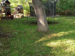 Cleanups by Josh Scanlan for Justin A. in Mauldin, SC