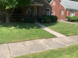 Gordon B.'s Lawn Mowing service result