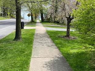 Holly A.'s Lawn Care service result