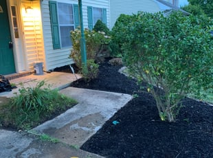Cleanups by Antione Juniper for Jonathan M. in Virginia Beach, VA