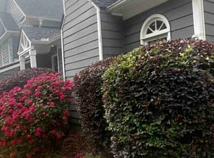 Bush Trimming by Enrique Juarez for Alisha B. in Woodstock, GA
