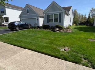 Matthew L.'s Lawn Service service result