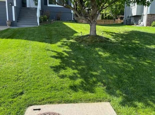 Keith G.'s Lawn Mowing service result