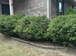 Yontai D.'s Flower Bed Weeding service result