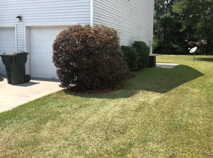 Bush Trimming by Jeremy Brown for Christopher L. in Goose Creek, SC