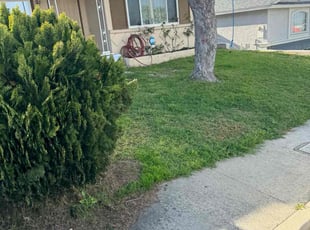 Dean L.'s Lawn Care service result