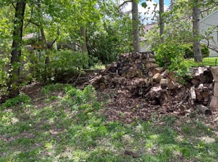 Cleanups by Connor Doyle for Barbara L. in Saint Paul, MN