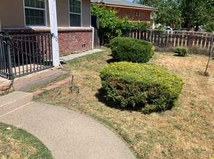 Bush Trimming by Jonathan Allen for Ryan B. in North Highlands, CA