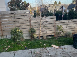 Bush Trimming by Rebecca Montague for Kjerstin S. in Seattle, WA