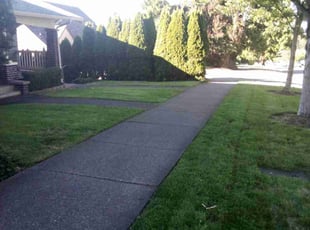 Leslie A.'s Lawn Service service result