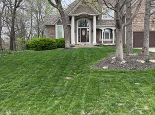 Dave S.'s Lawn Service service result