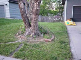 Leaf Removal by James Buchanan for Courtney H. in Kansas City, MO
