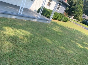 Bush Trimming by Rey Rijos for Irina S. in Virginia Beach, VA