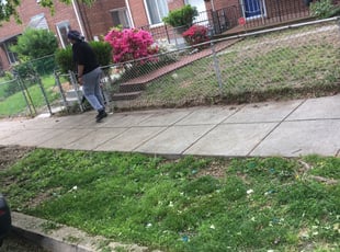 Leaf Removal by Clinique Martin for Yolanda M. in Washington, DC