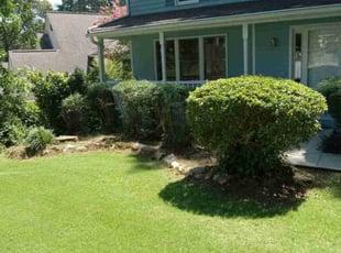Bush Trimming by Lionel Lee for Rick R. in Stone Mountain, GA