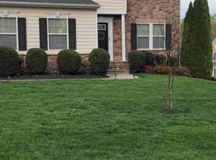 Sally M.'s Lawn Mowing Service service result