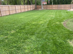 James K.'s Lawn Mowing service result
