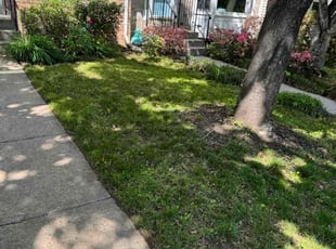 Leaf Removal by Jairo Villagran for Rebecca D. in Gaithersburg, MD