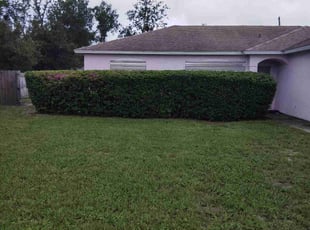 Susan A.'s Bush Trimming service result