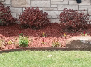 Landscaping by Nelson Lee for Sabrina M. in Oklahoma City, OK