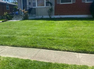 Leaf Removal by Jose Maltos for Michelle C. in Cincinnati, OH
