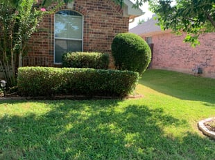 Bush Trimming by Nate Collins for Debra P. in Mansfield, TX