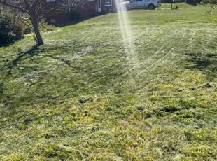 Reginald T.'s Lawn Service service result