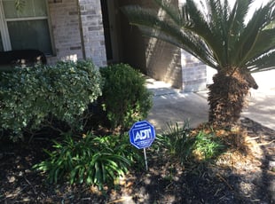Bush Trimming by Allen Strode for Cynthia C. in Houston, TX