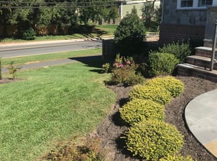Weeding by Kamonta Hackey for Jeffrey F. in Vienna, VA