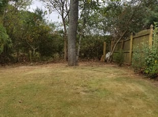 Marguerite B.'s Cleanups service result