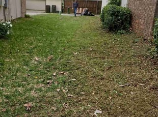 Bush Trimming by Manuel Solis Soto for Billy T. in Plano, TX