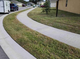 Alberto R.'s Grass Cutting service result