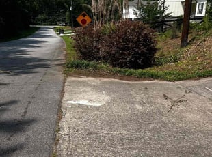 Bush Trimming by Emily Hernandez for Kip k. in Suwanee, GA