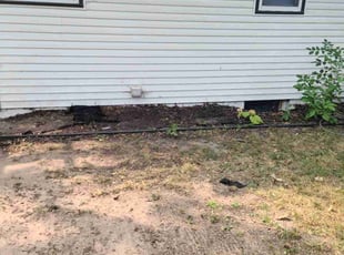 Cleanups by Natatia Frame for Erich S. in Saint Paul, MN