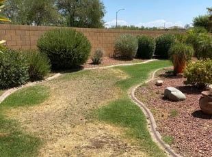 Bush Trimming by Brian Gibson for Bryan A. in Peoria, AZ