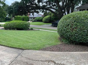Justin C.'s Lawn Maintenance service result