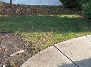 Leaf Removal by Tommie Long for Amy M. in Greenwood, IN