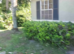 Bush Trimming by Yohan Torres for Joseph W. in Kissimmee, FL
