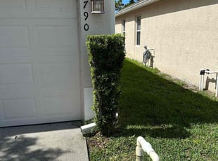 Bush Trimming by Harold Cummings for Juanita T. in Melbourne, FL