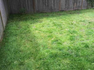 Cleanups by Raymond Darling for Katrina M. in Puyallup, WA