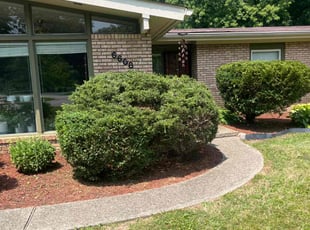 Bush Trimming by Tywuan Williams for WHITNEY R. in Indianapolis, IN